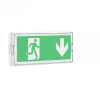 Emergency bulk Haed Light